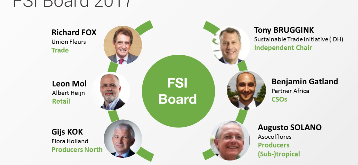 FSI Board 2017