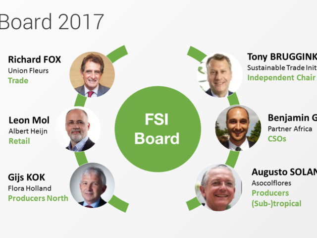 FSI Board 2017