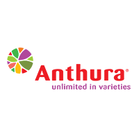 Anthura