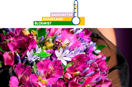 barometer florists