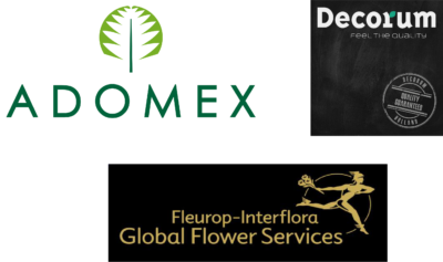Decorum+ Adomex+ fleuros