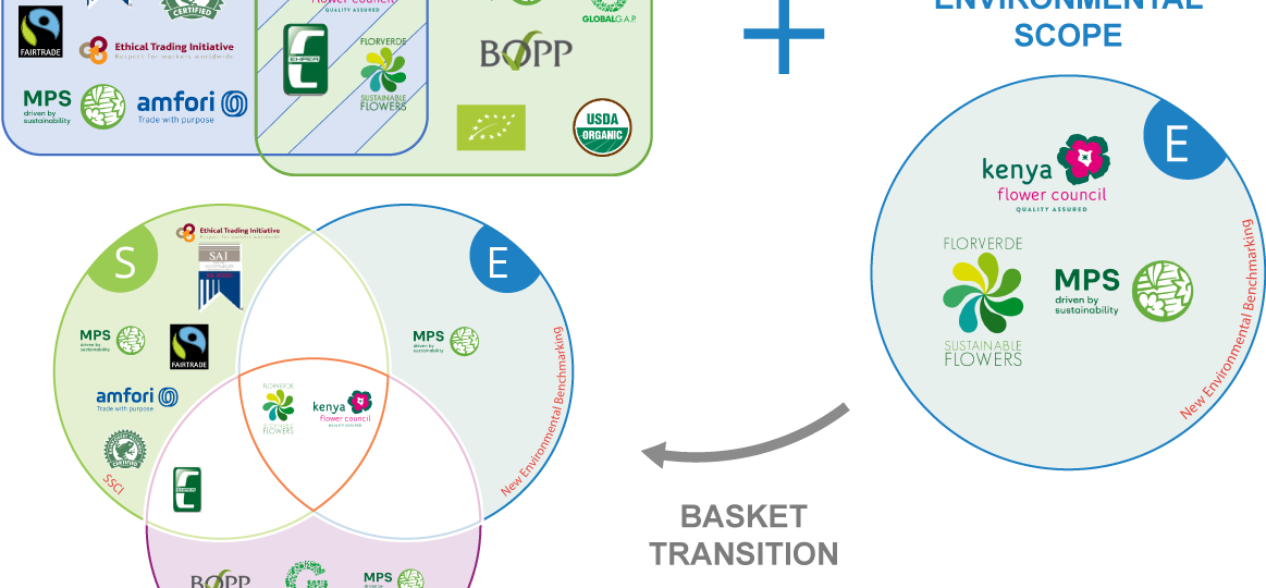 New-Env-scope-schemes_web