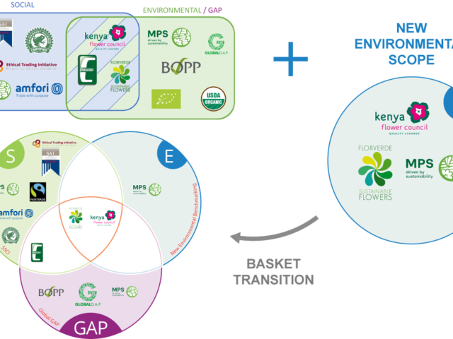 New-Env-scope-schemes_web