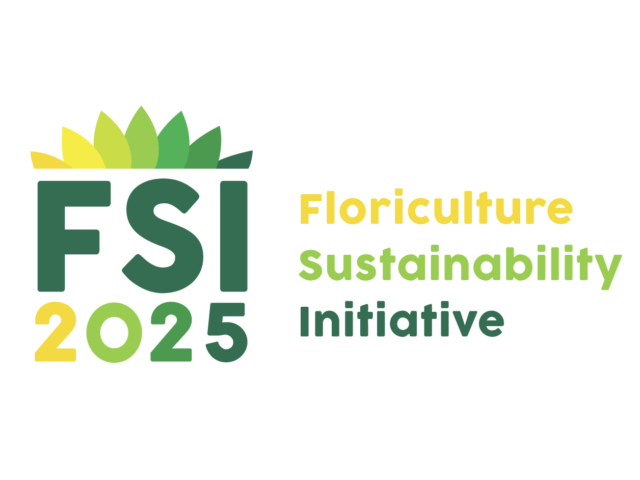 logo_FSI2025_BIG-kopie