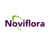 Noviflora