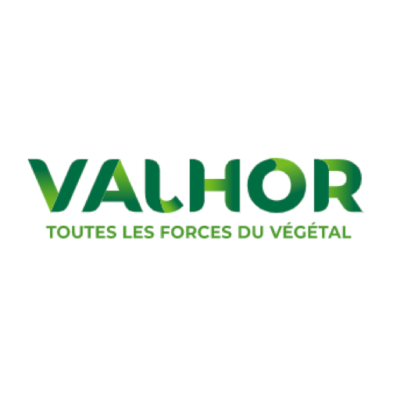 valhor_logo